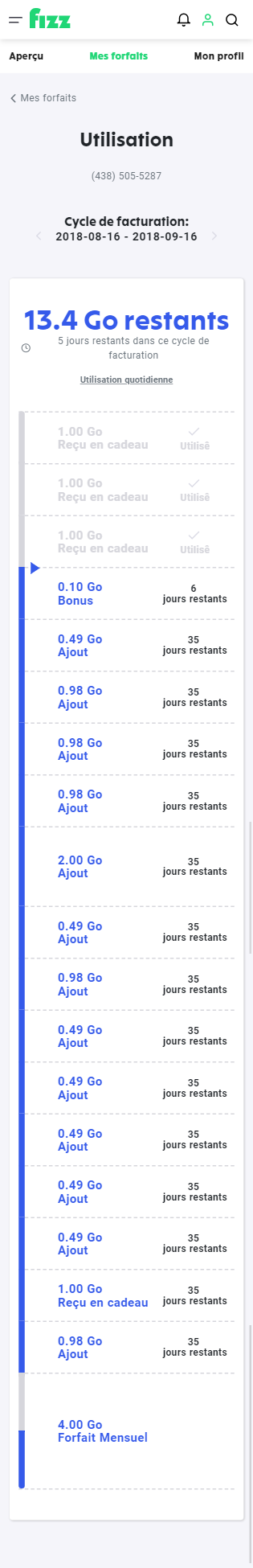 capture d’écran :  cliquez sur voir l'utilisation dans le forfait souhaité