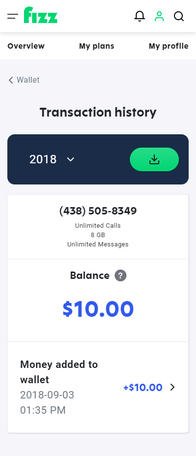 Screenshot: Transaction history